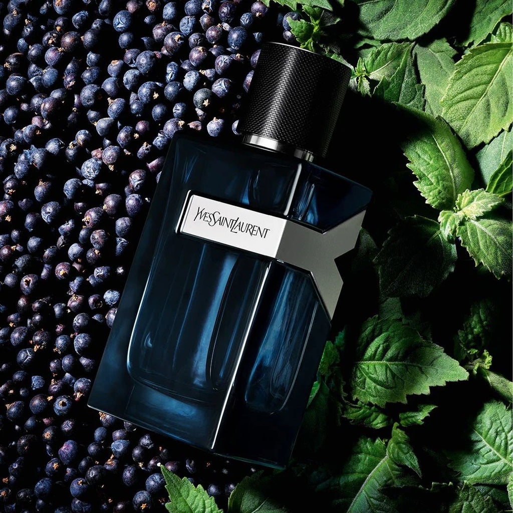 Y Eau de Parfum Yves Saint Laurent For Men The Perfume Store