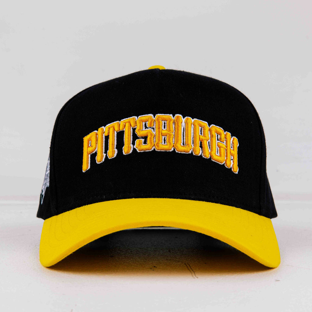 Common Hype Pittsburgh City Hat Common Hype