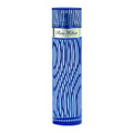 Paris Hilton for Men Eau de Toilette The Perfume Store