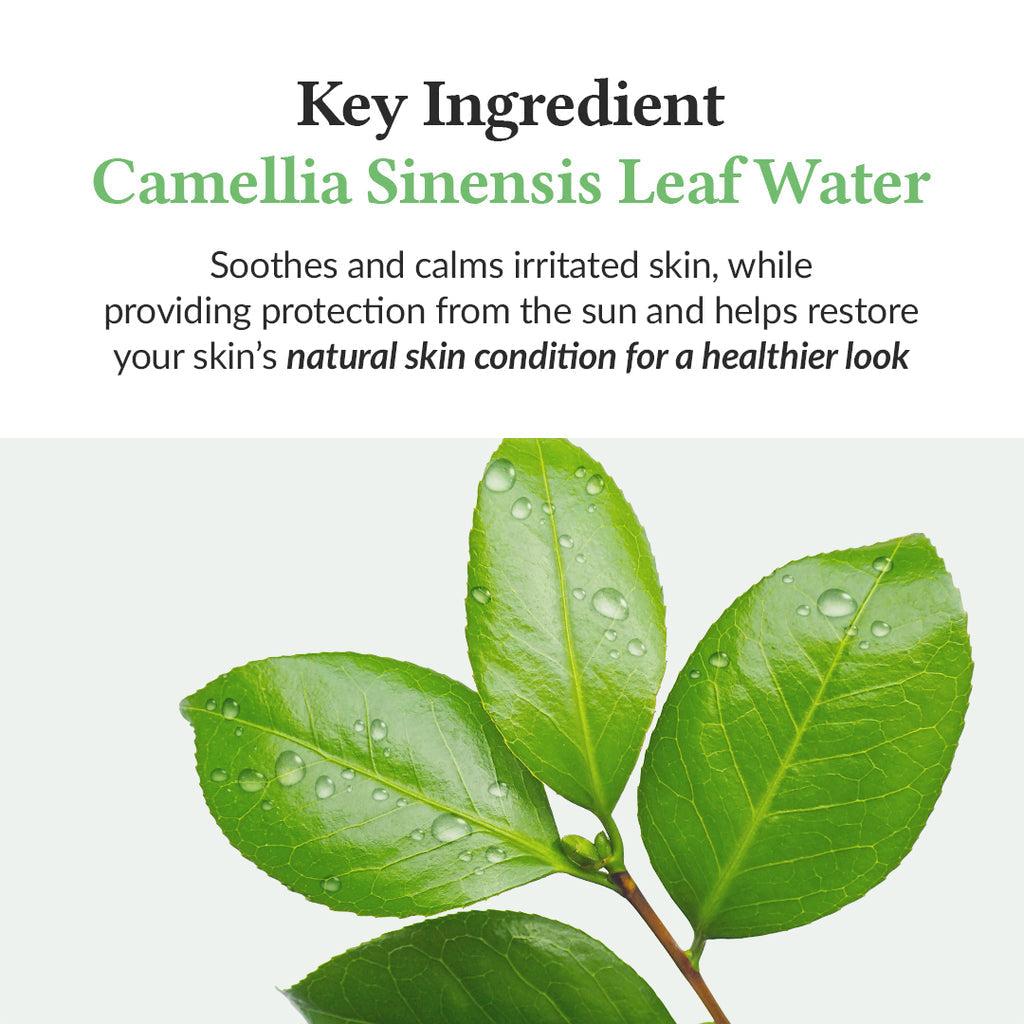 Dr. Althea Green Tea Fresh Sunscreen SPF50+ PA++++ AsiaBeautyMall