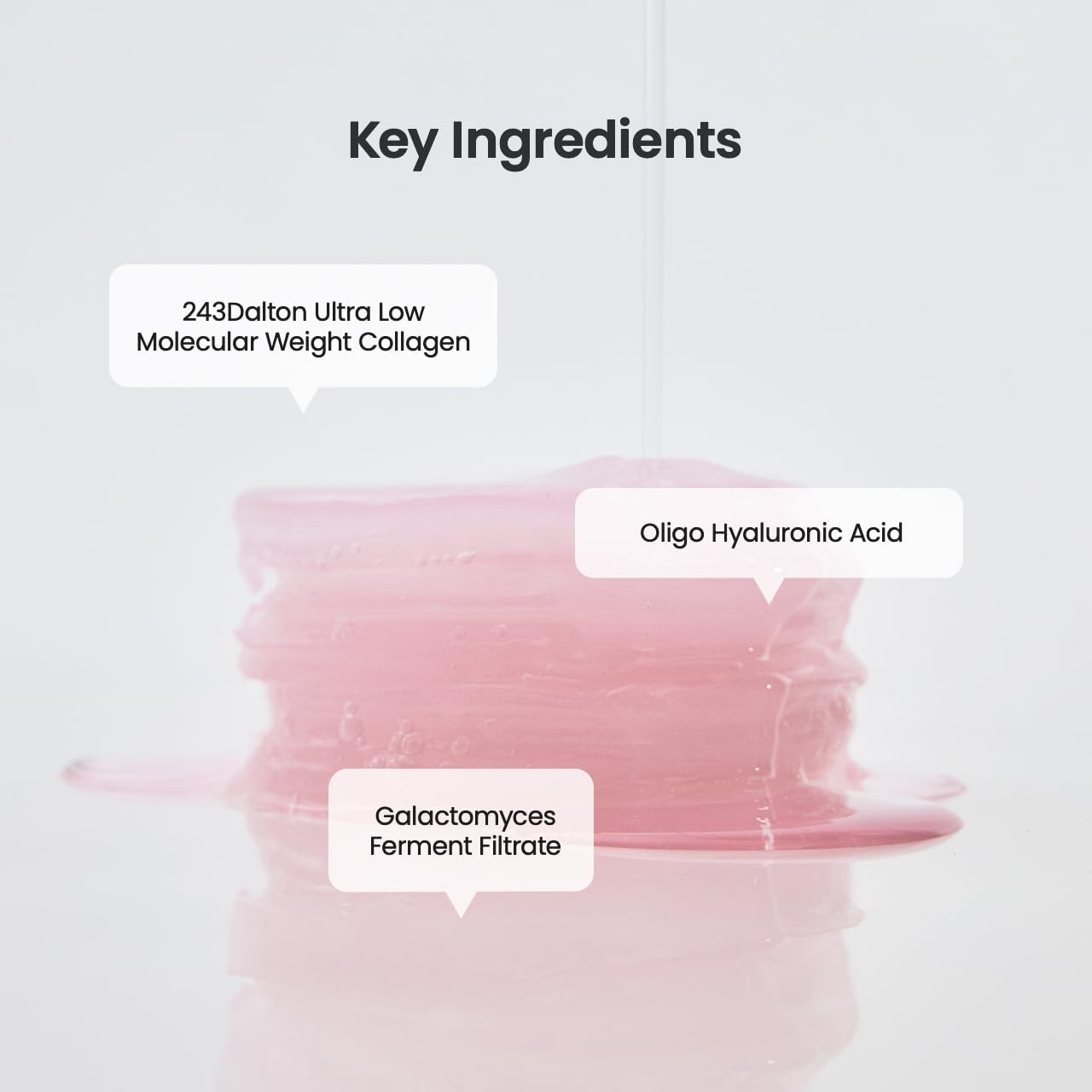 Biodance Collagen Gel Toner Pads AsiaBeautyMall