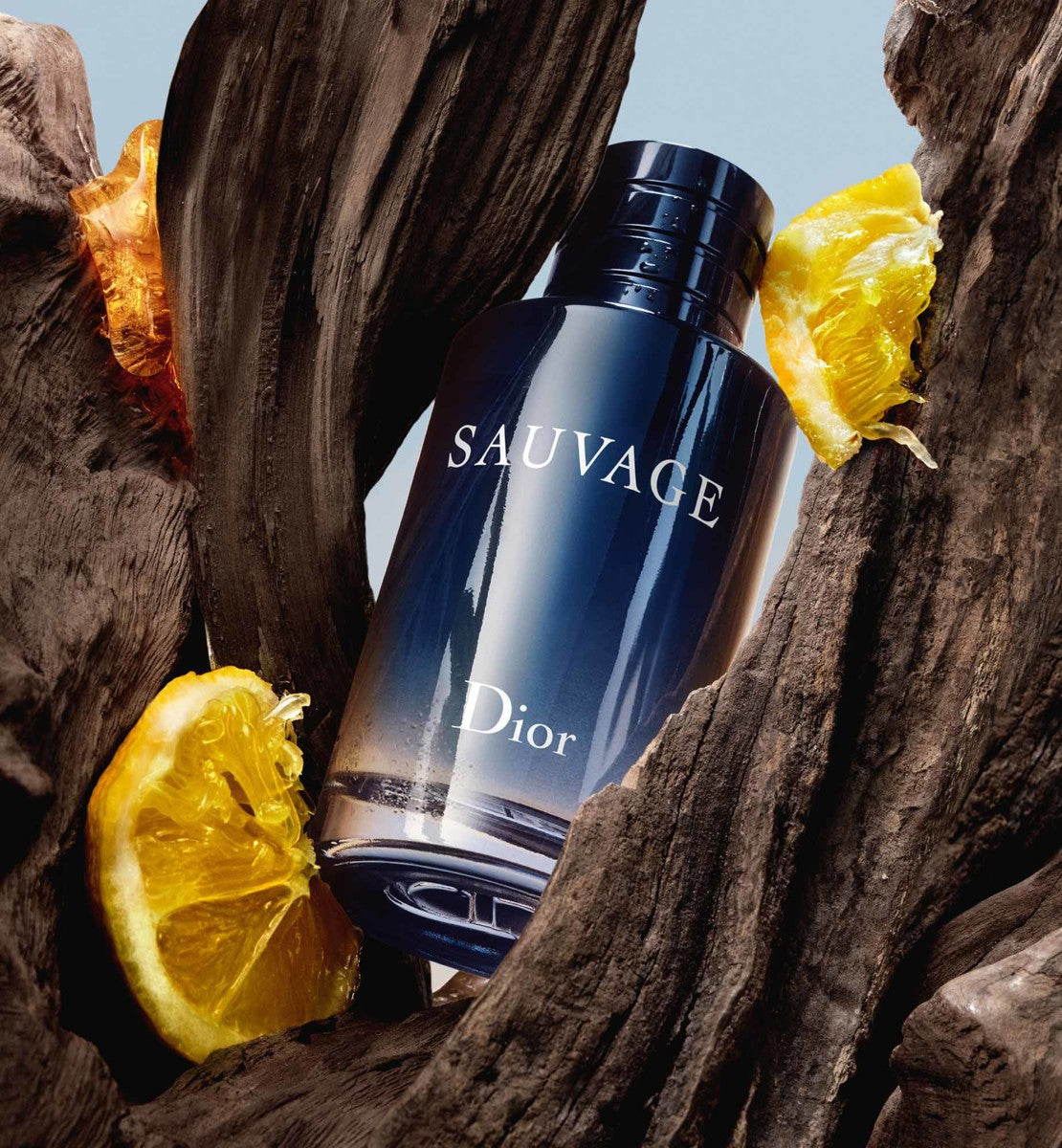 Dior SAUVAGE EAU De Toilette The Perfume Store