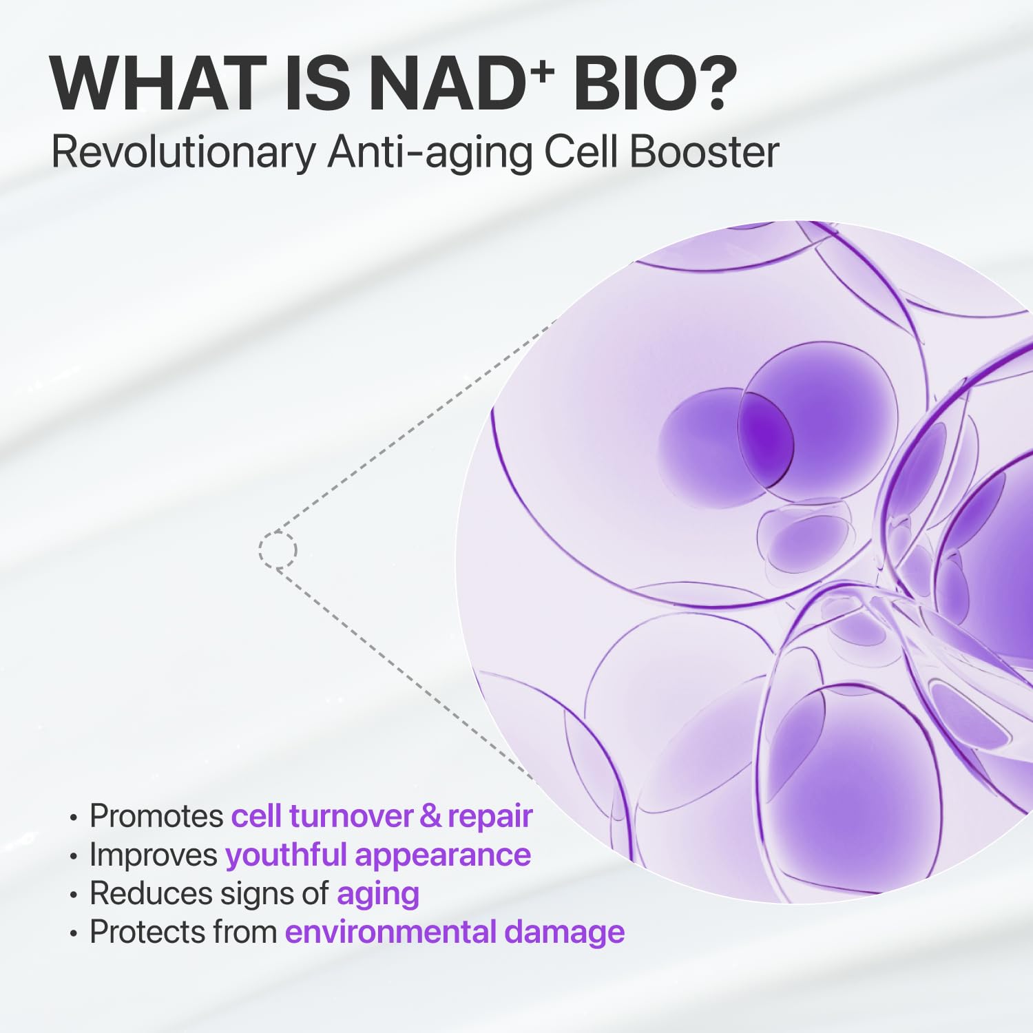 Numbuzin No. 9 NAD+ Bio Lifting-sil Essence AsiaBeautyMall
