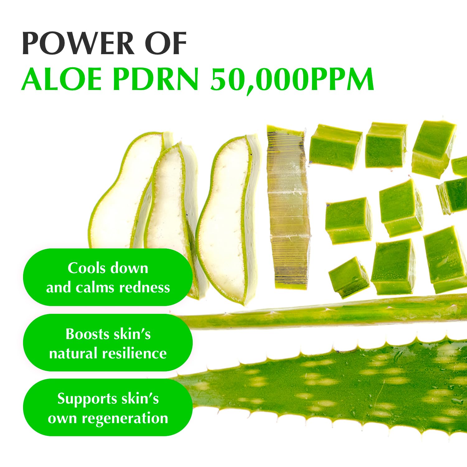 EQQUALBERRY Aloe PDRN Calming Serum AsiaBeautyMall