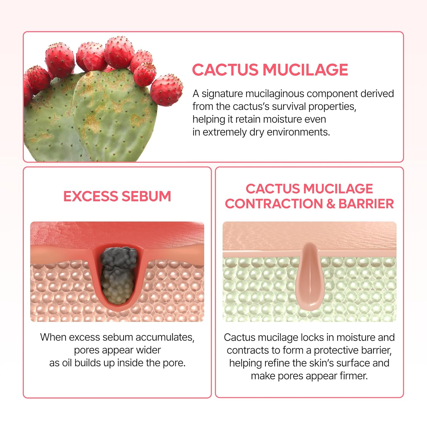 Dr.Melaxin CACTOX Pore Relief Dual Capsule Cream AsiaBeautyMall