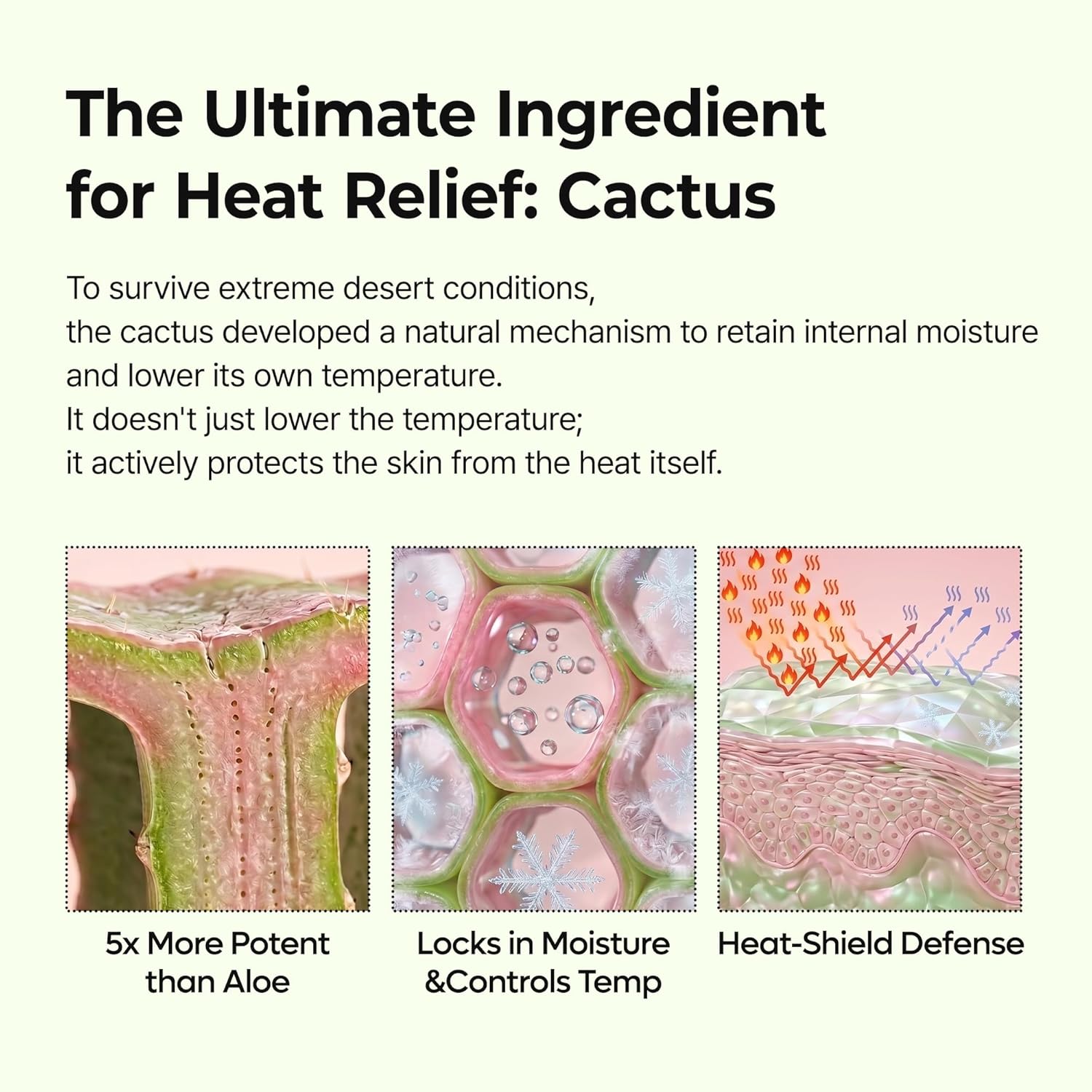 Dr. Melaxin CACTOX Pore Relief Multi Balm AsiaBeautyMall