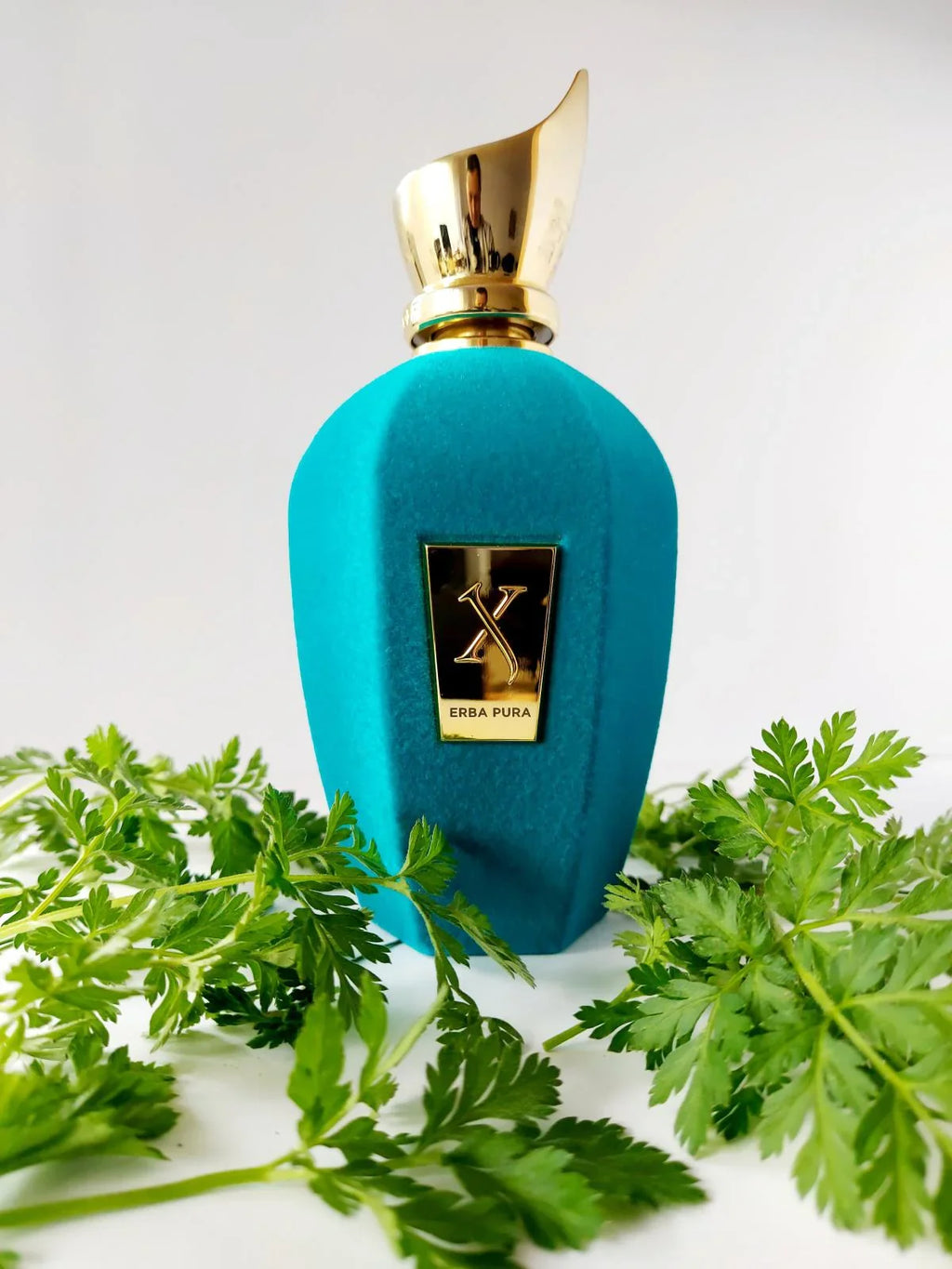 Xerjoff V Erba Pura Eau de Parfum The Perfume Store