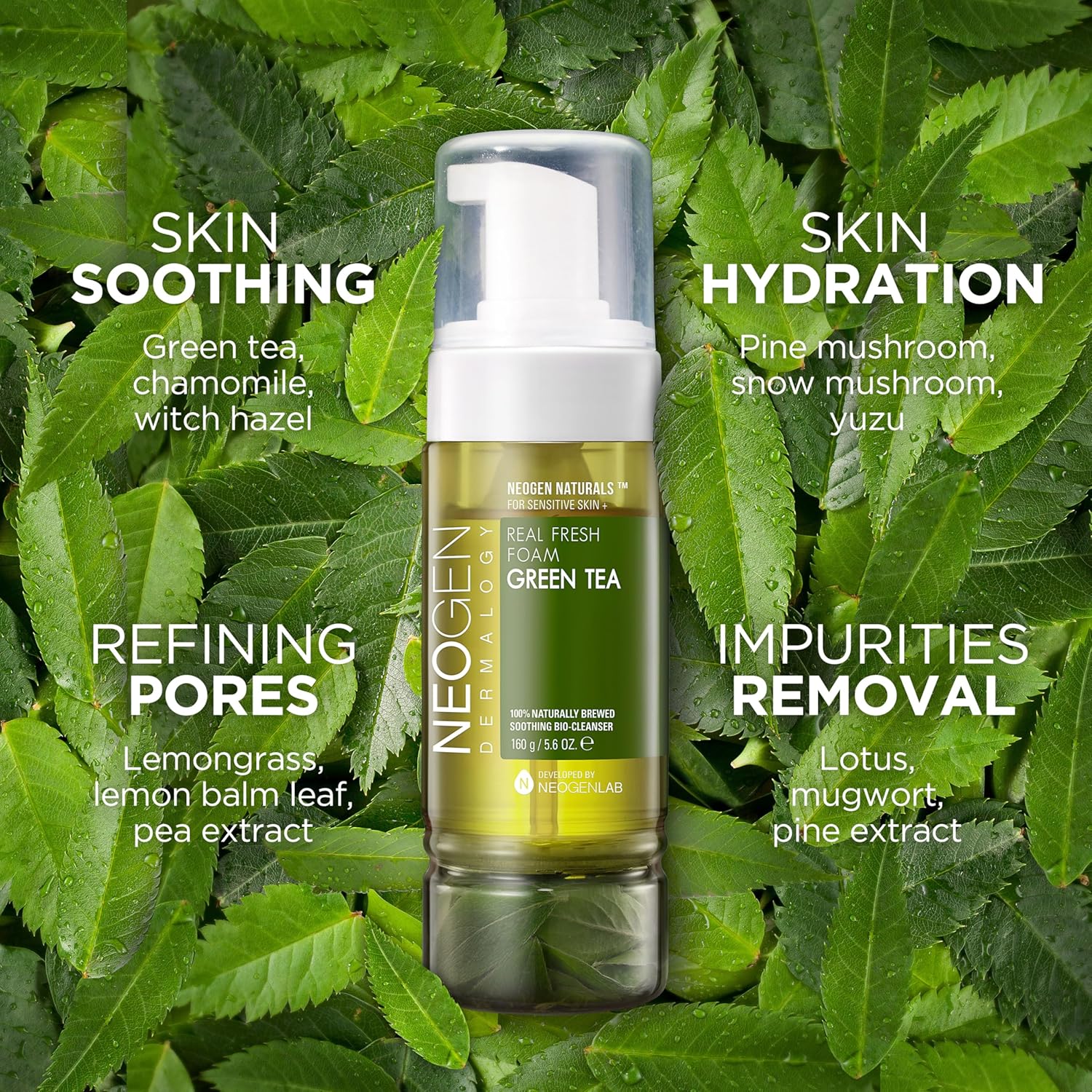 NEOGEN Dermalogy Real Fresh Foam Green Tea AsiaBeautyMall
