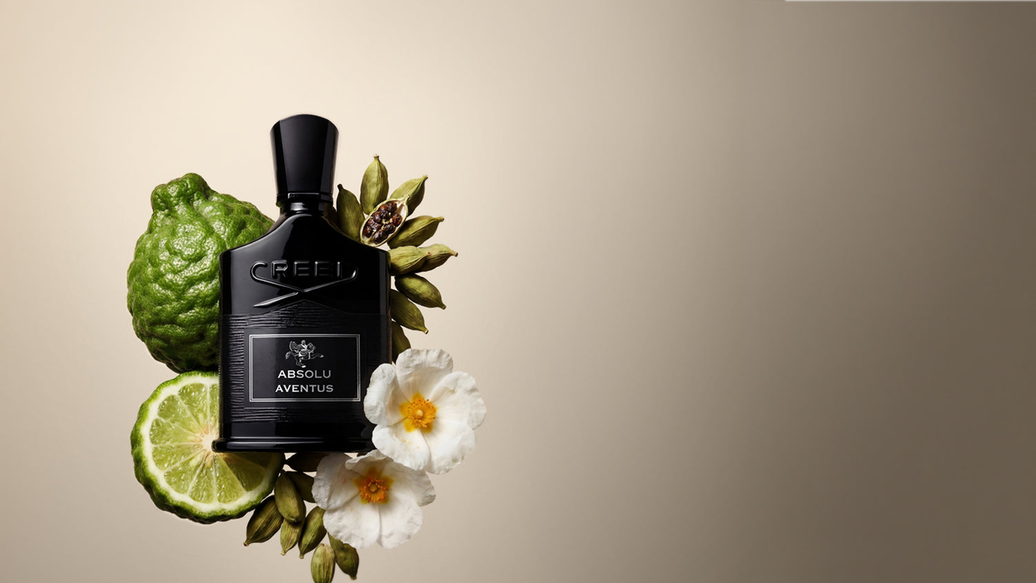 Creed Absolu Aventus Eau De Parfum For Men The Perfume Store