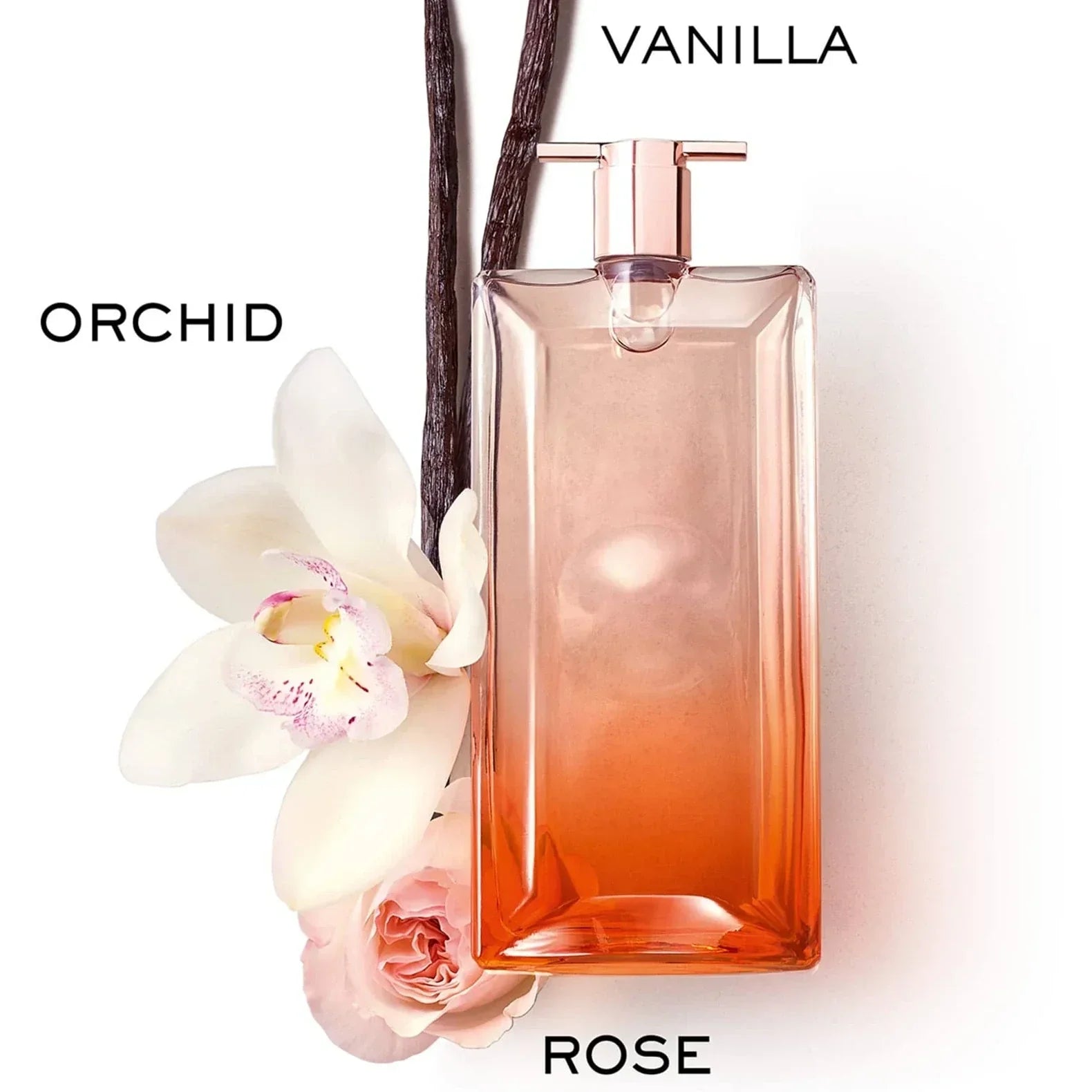 Lancôme Idôle Now Eau de Parfum for Women Fandi Perfume