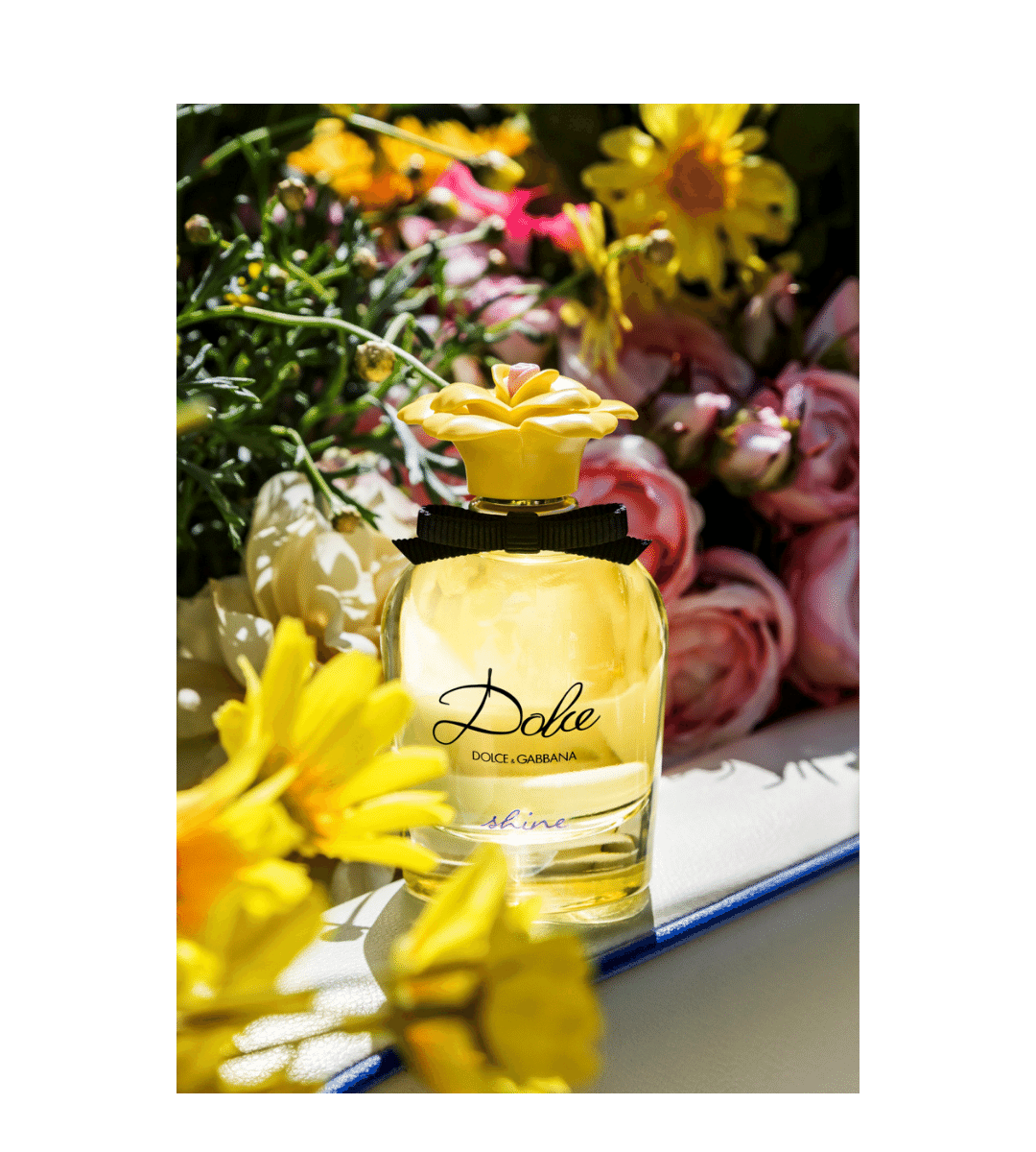 D&G Dolce Shine Eau de Parfum The Perfume Store