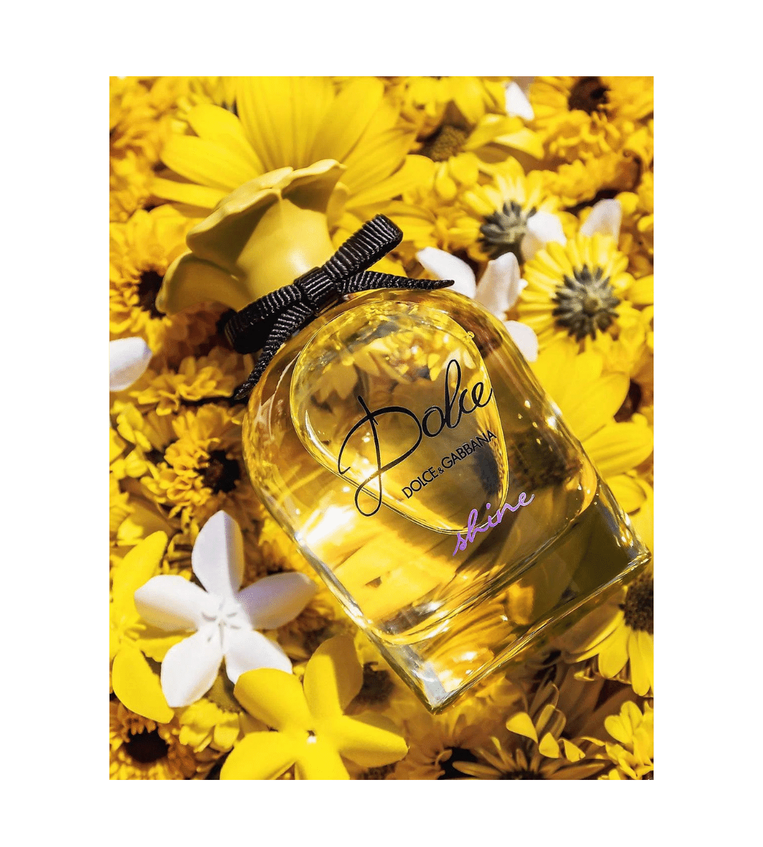 D&G Dolce Shine Eau de Parfum The Perfume Store
