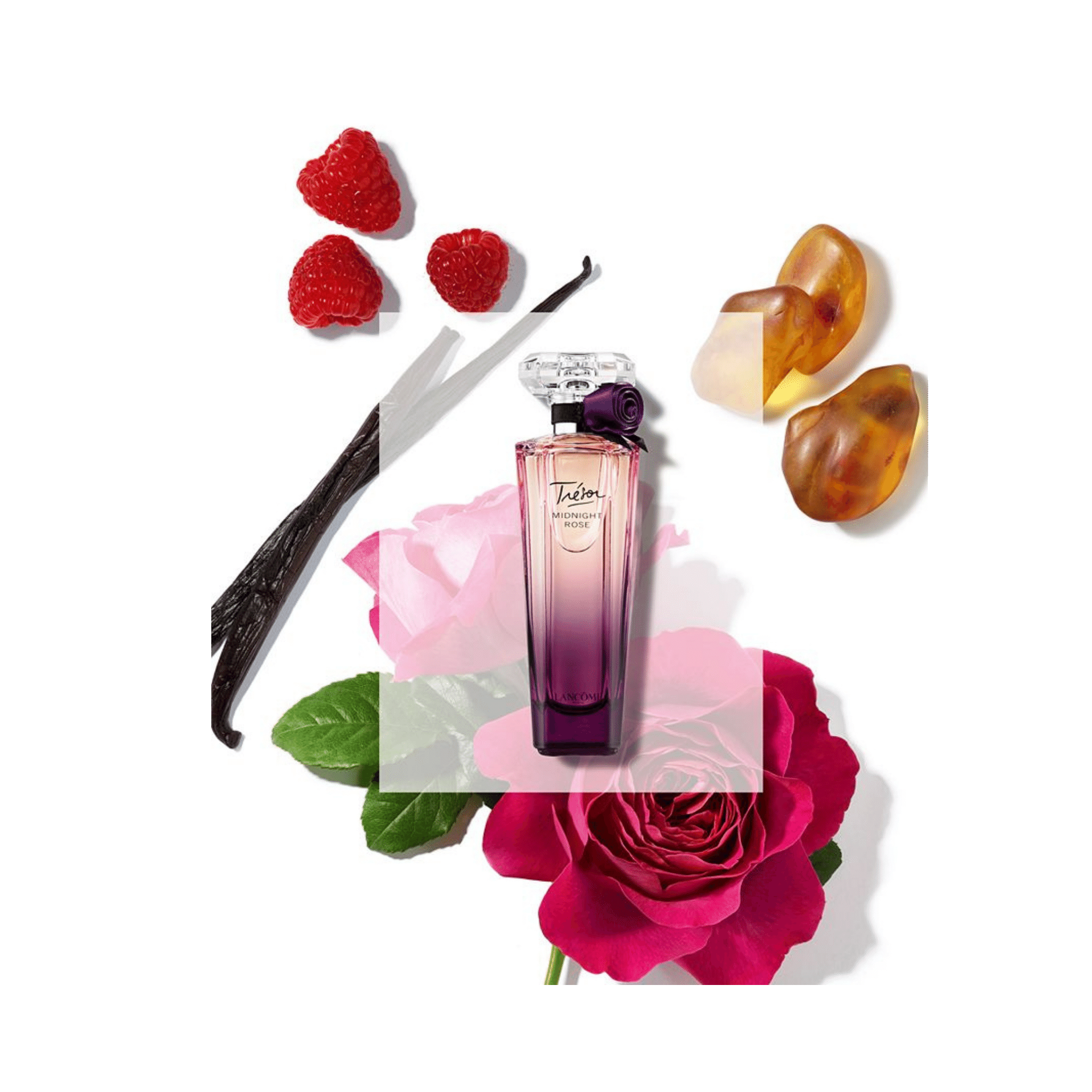 Lancôme TRÉSOR MIDNIGHT Rose Eau De Parfum The Perfume Store