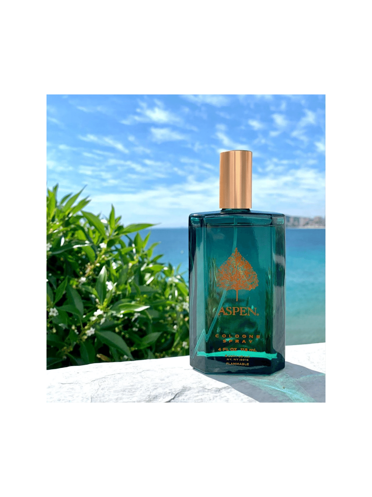 Aspen by Coty Eau de Cologne The Perfume Store