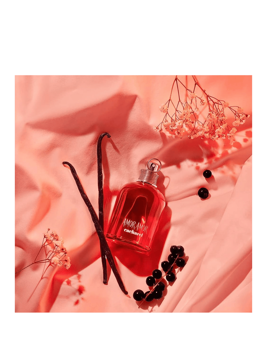Amor Amor by Cacharel Eau De Toilette The Perfume Store