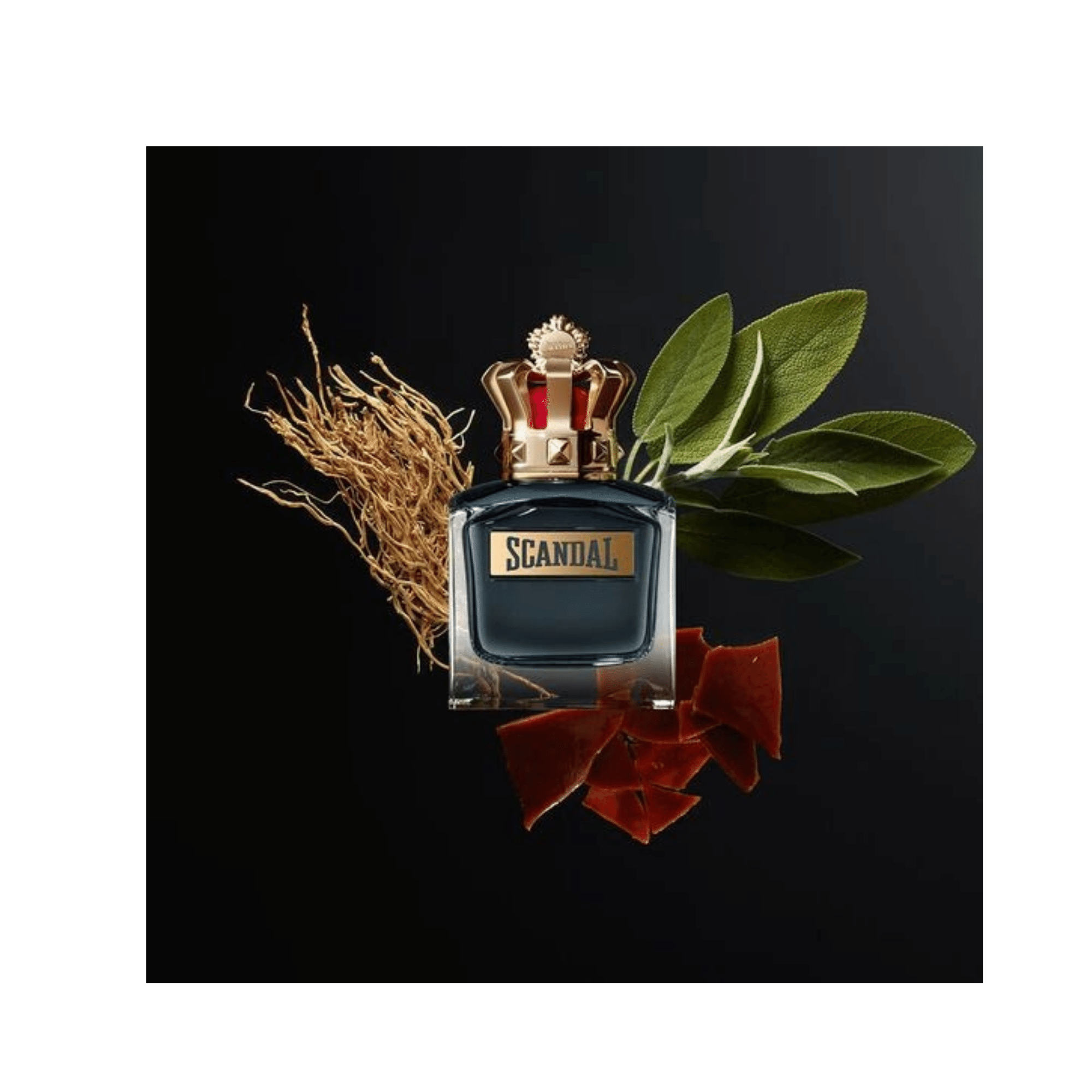 JEAN PAUL Gaultier Scandal Pour Homme Eau De Toilette The Perfume Store