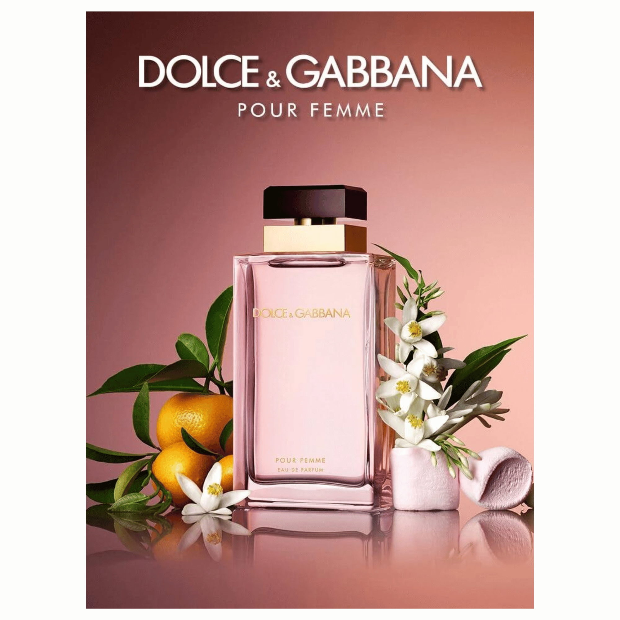 D&G Pour Femme Eau de Parfum The Perfume Store