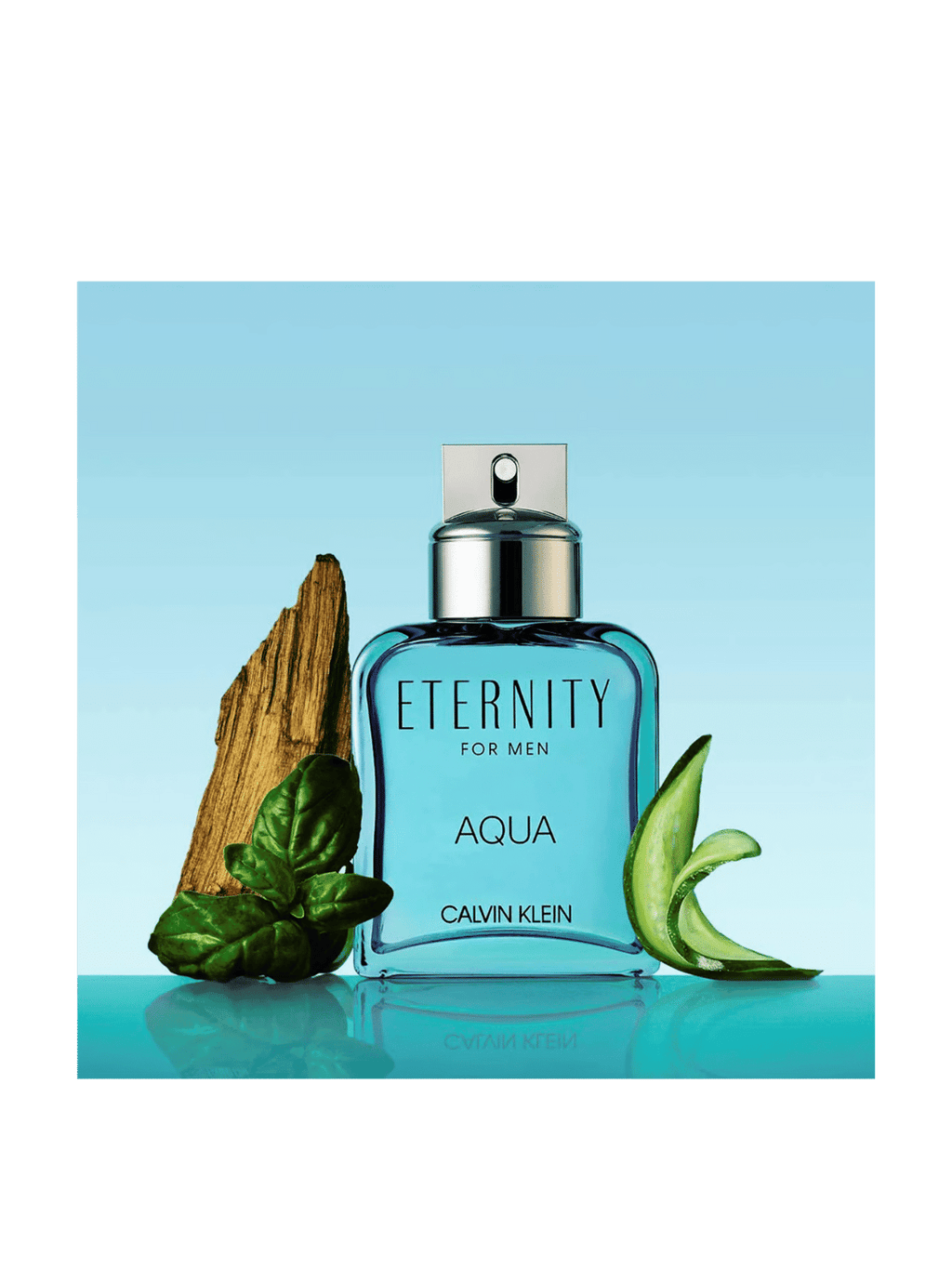 Calvin Klein Eternity Aqua Eau de Toilette The Perfume Store
