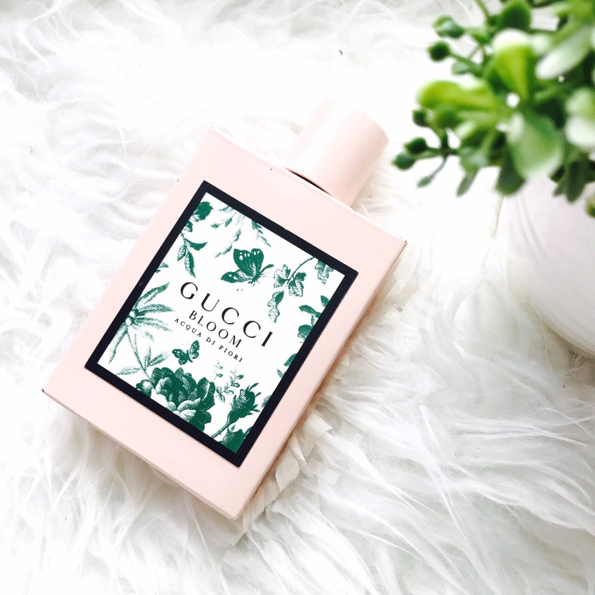 Gucci Bloom Acqua Di Fiori The Perfume Store
