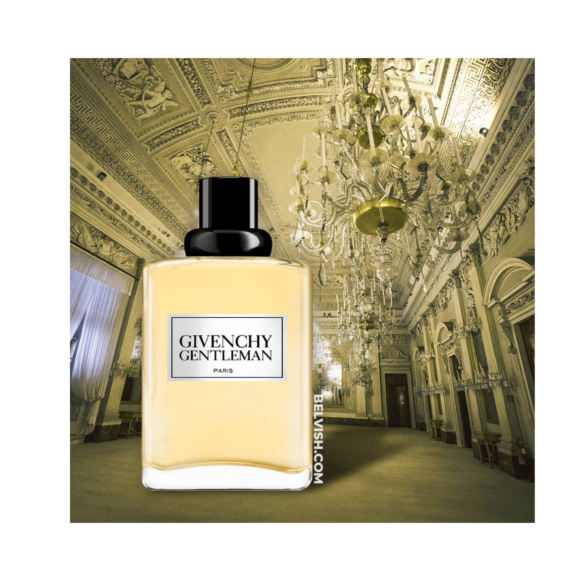 GIVENCHY GENTLEMAN Eau de Toilette The Perfume Store