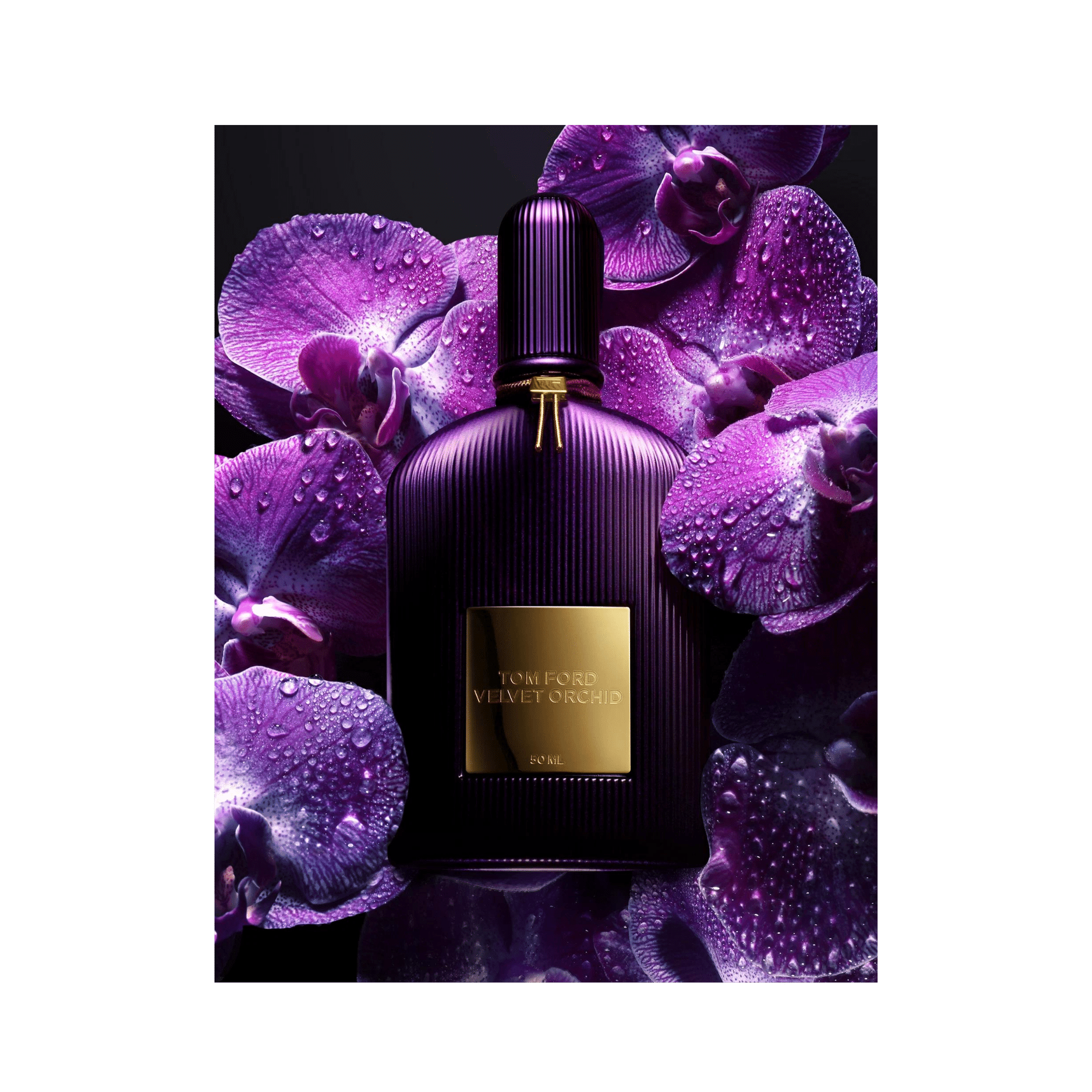 TOM FORD Velvet Orchid Eau De Parfum The Perfume Store