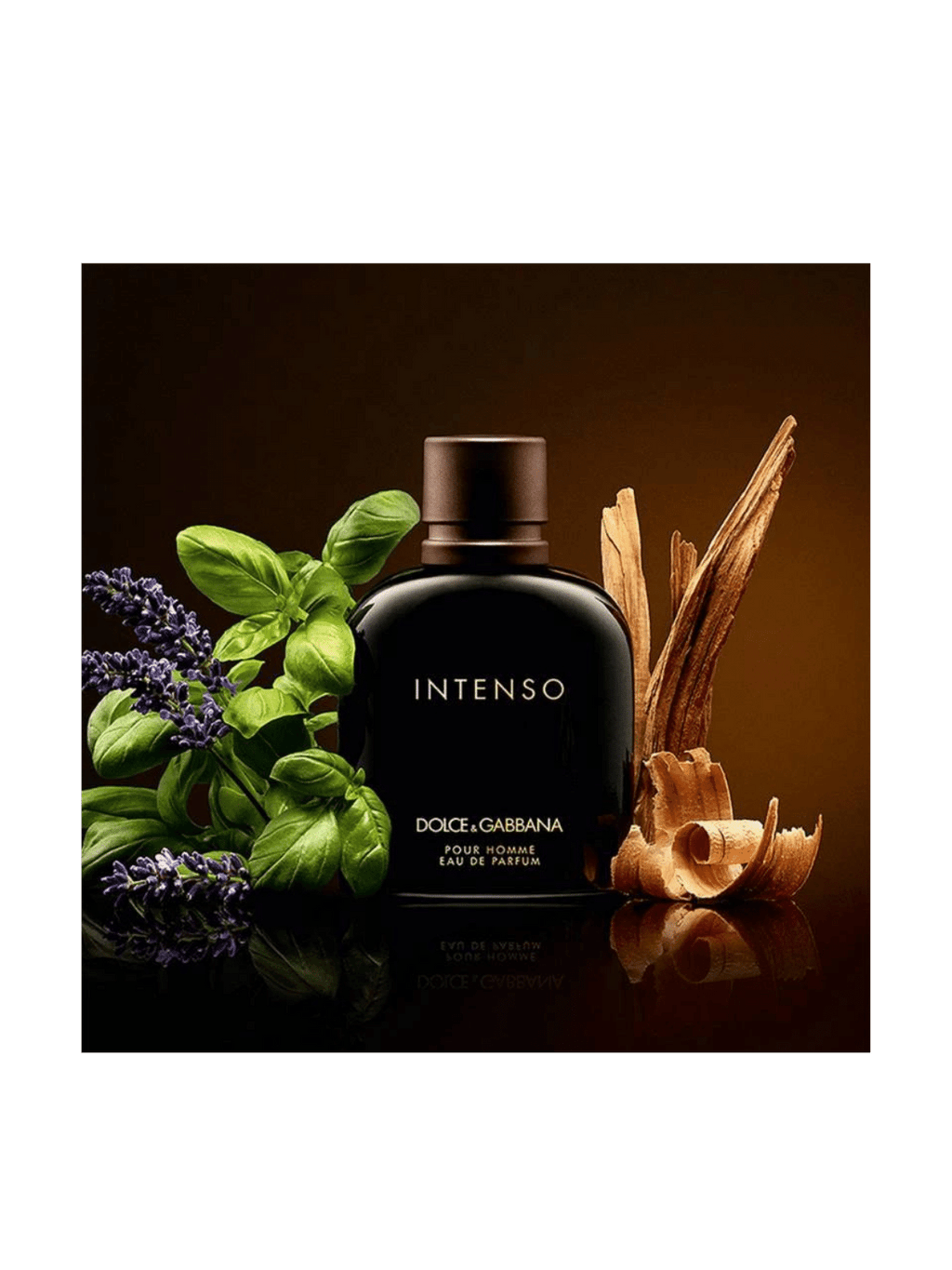 D&G Intenso Eau de Parfum The Perfume Store
