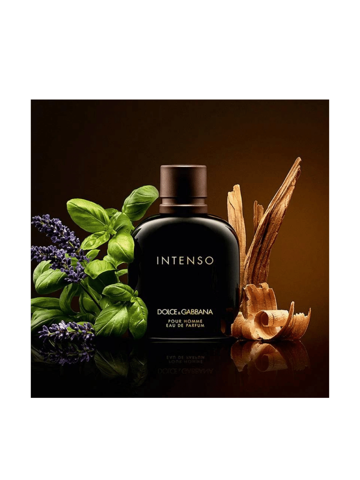 D&G Intenso Eau de Parfum The Perfume Store