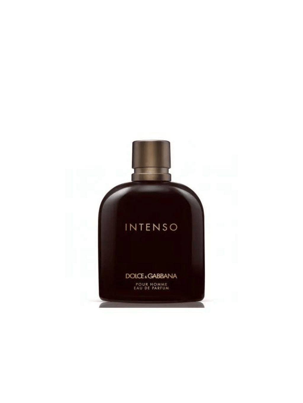 D&G Intenso Eau de Parfum The Perfume Store