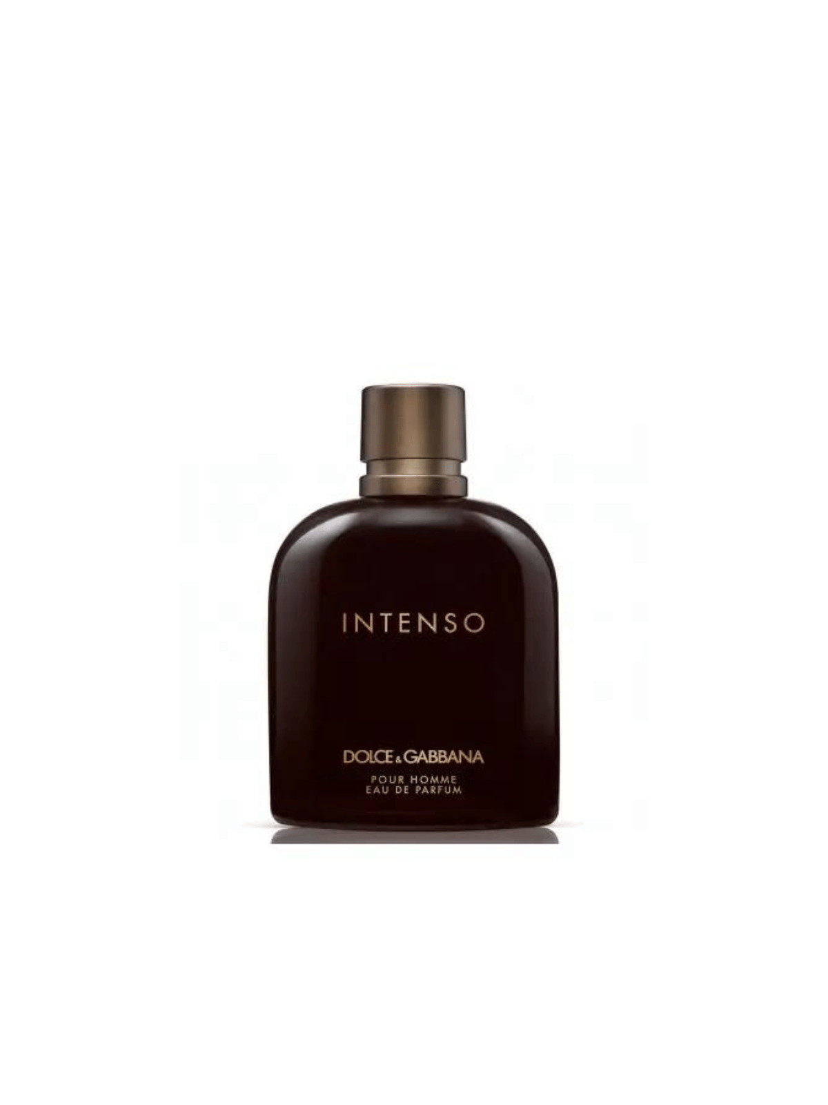 D&G Intenso Eau de Parfum The Perfume Store