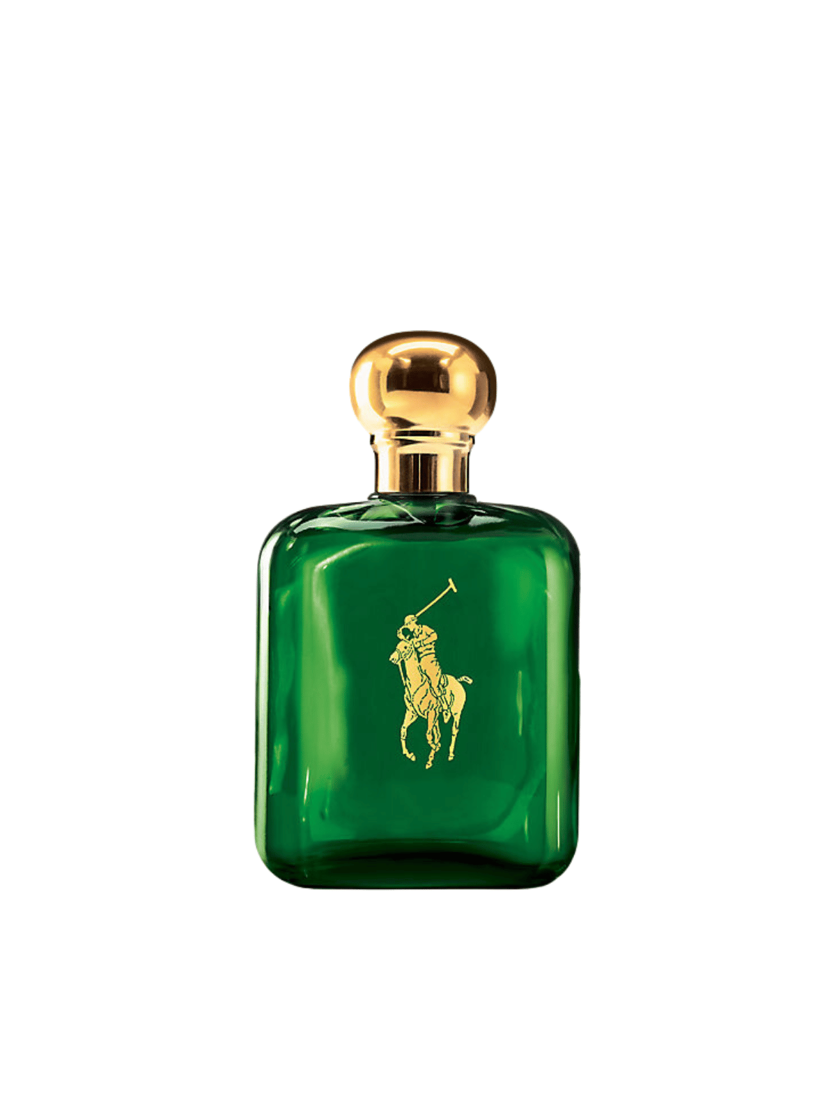 Polo by Ralph Lauren Eau de Toilette The Perfume Store
