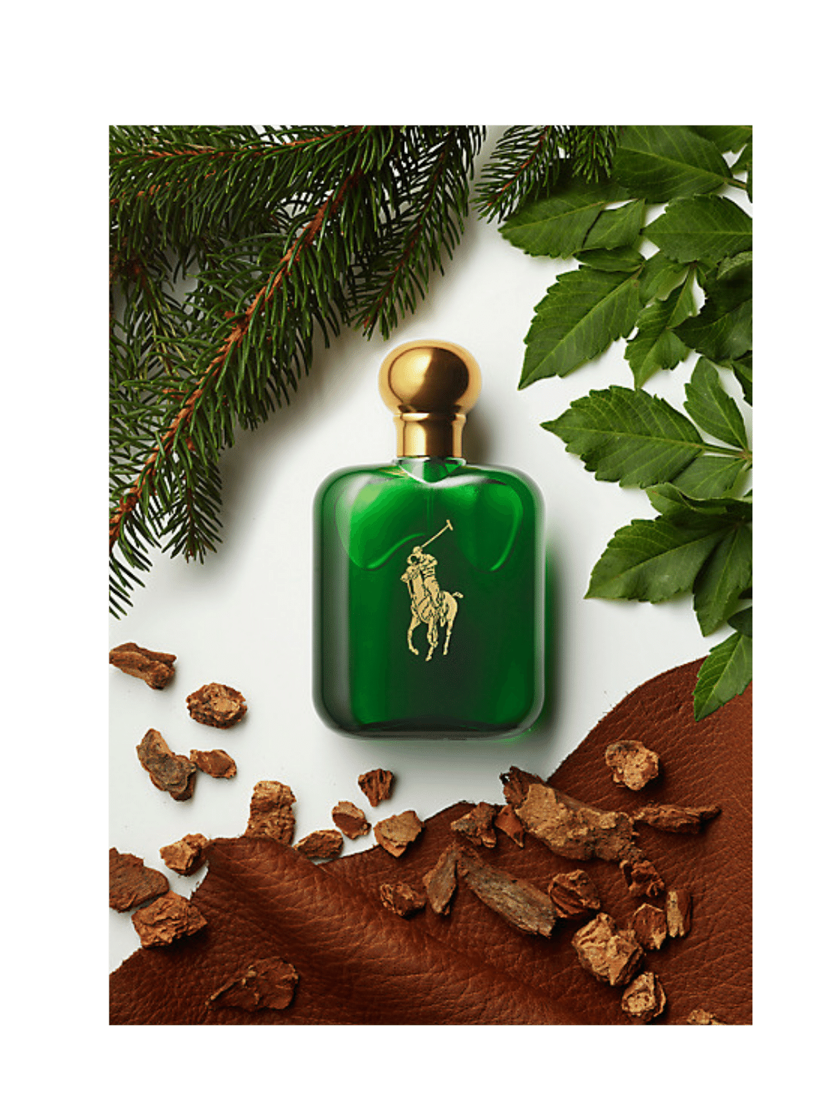 Polo by Ralph Lauren Eau de Toilette The Perfume Store