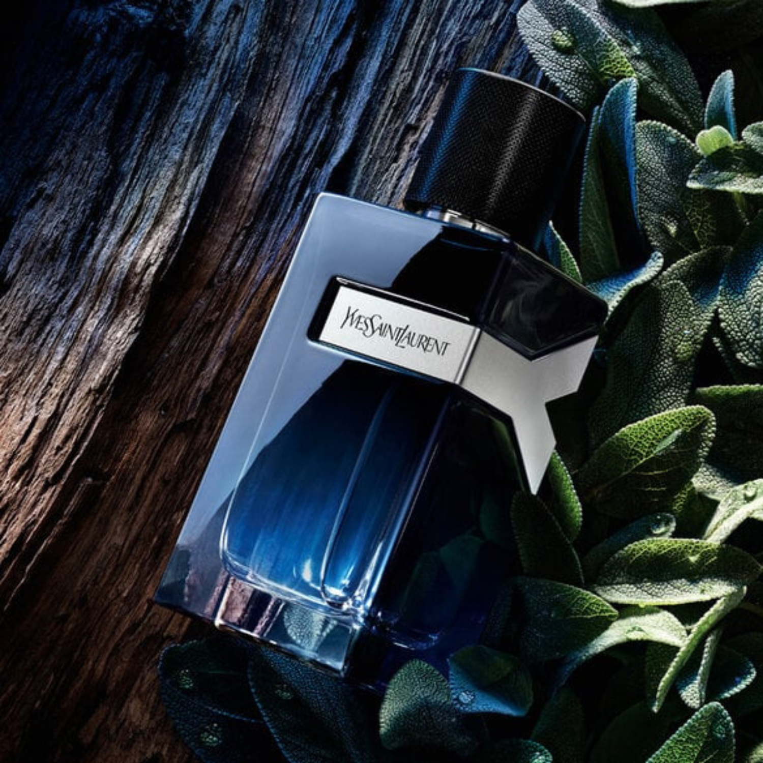 Yves Saint Laurent Y Eau de Parfum 3.3 oz. 100ml Fandi Perfume