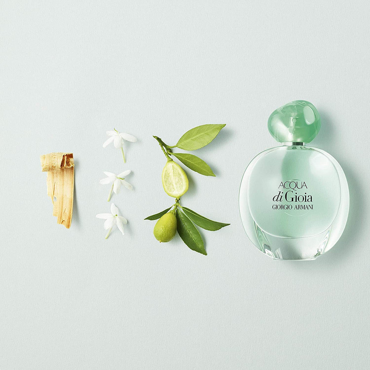 GIORGIO ARMANI Acqua Di Gioia Eau de Parfum The Perfume Store