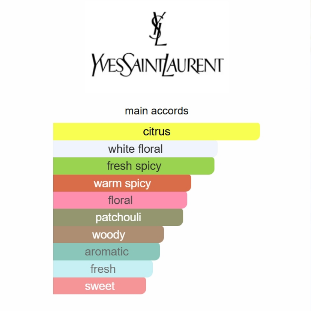 MYSLF L’Absolu Yves Saint Laurent 100ML Fandi Perfume