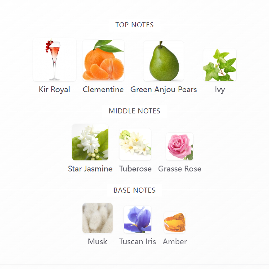 New York Secret Gardens Bond No 9 100ml Fandi Perfume