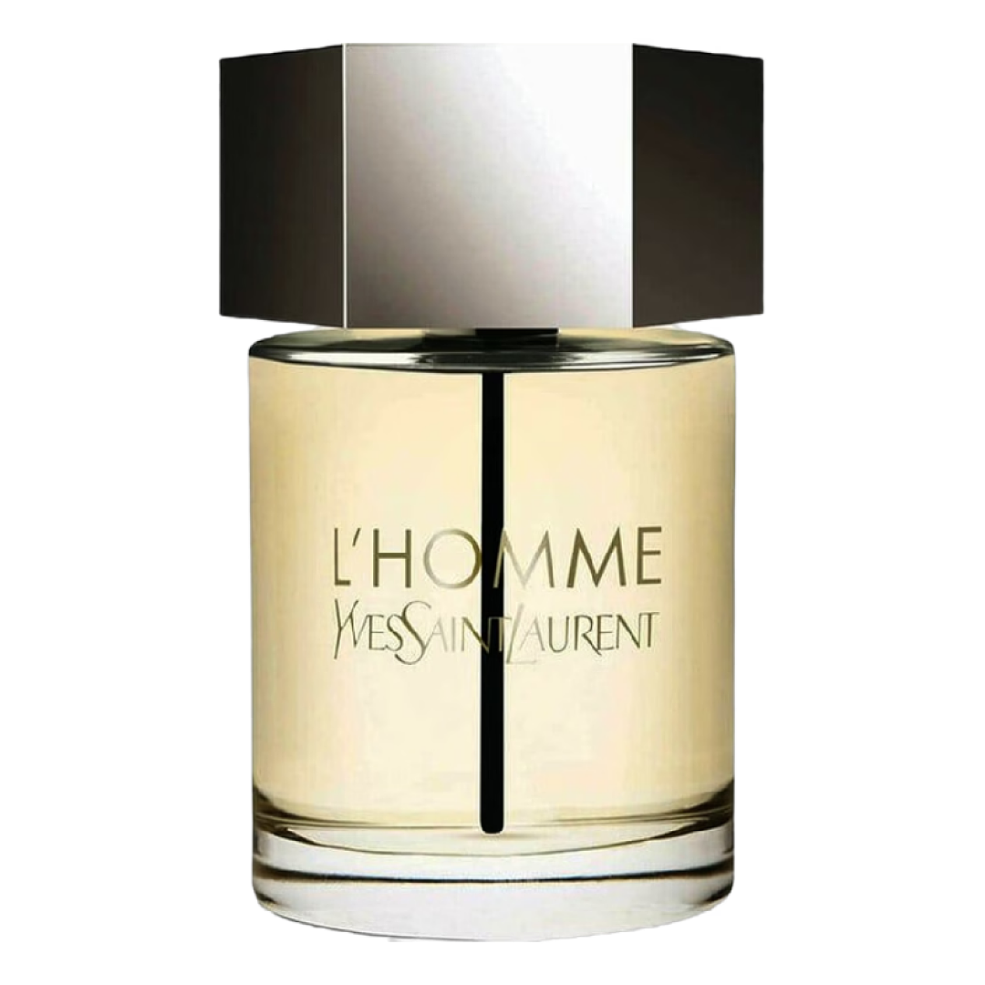 L’Homme Yves Saint Laurent 100ml Fandi Perfume