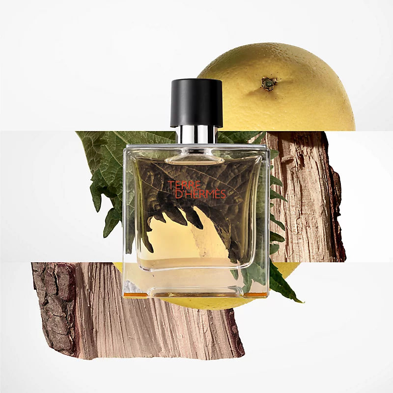 Terre D'Hermès Eau de toilette The Perfume Store