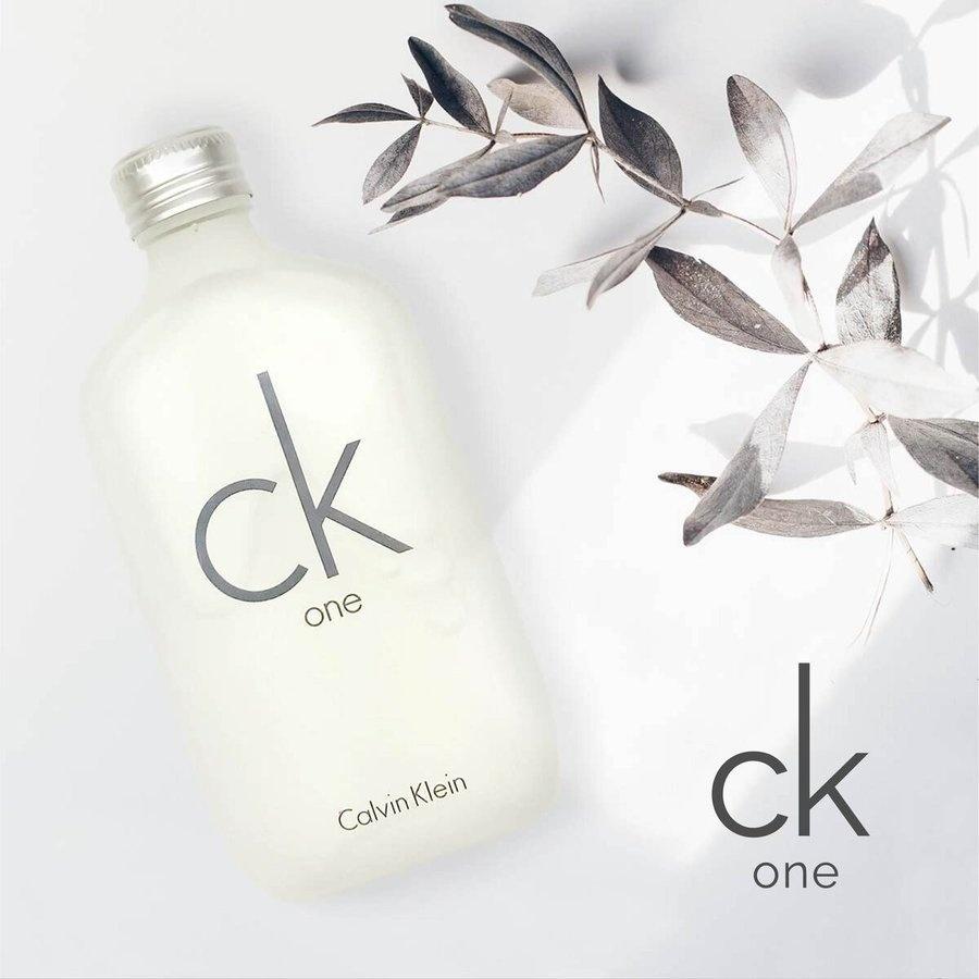 Calvin Klein One Eau de Toilette The Perfume Store