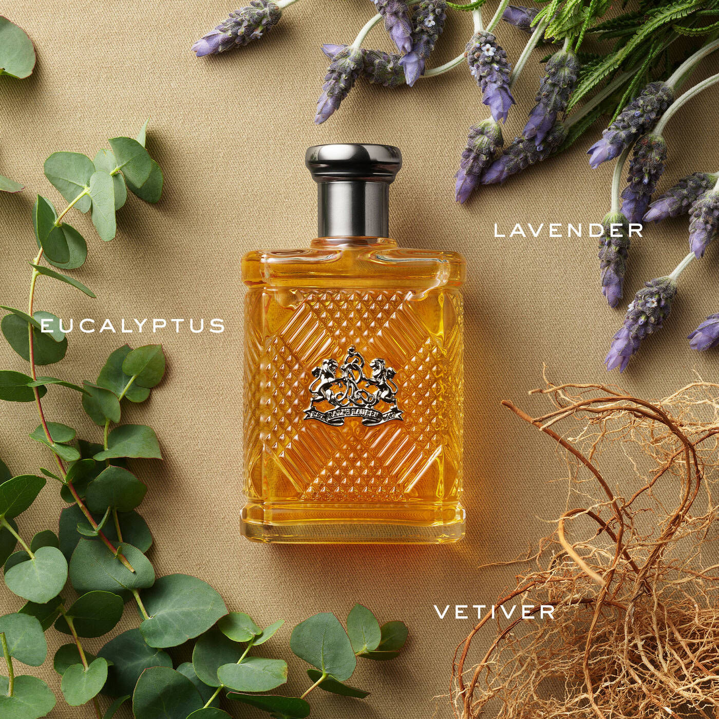 Safari For Men Ralph Lauren The Perfume Store