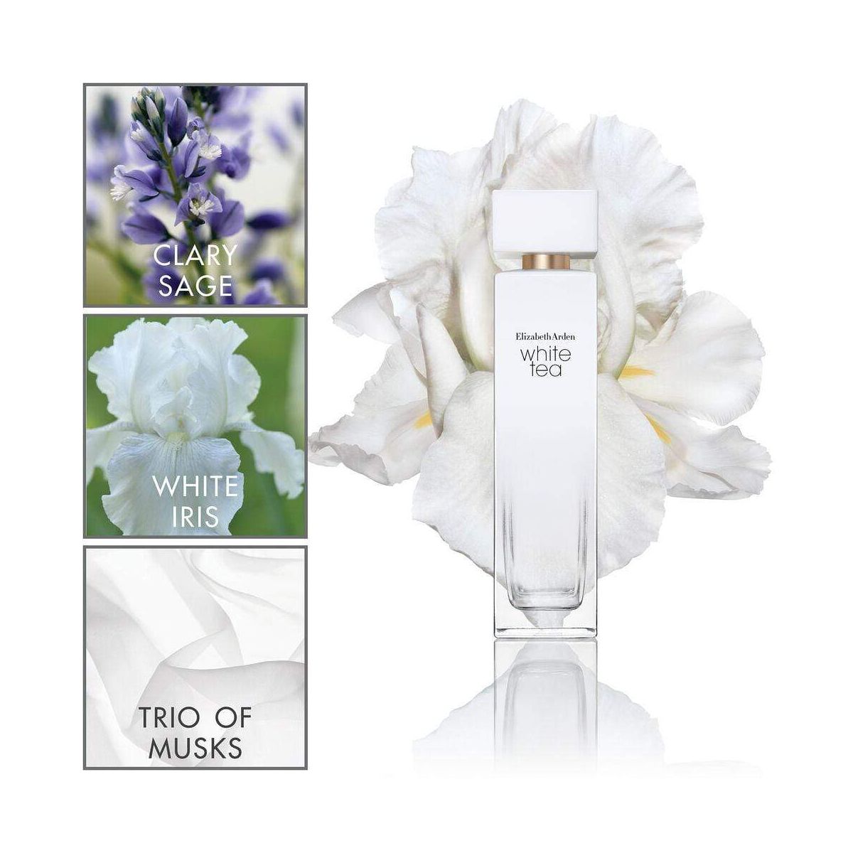 White Tea by Elizabeth Arden Eau De Toilette The Perfume Store